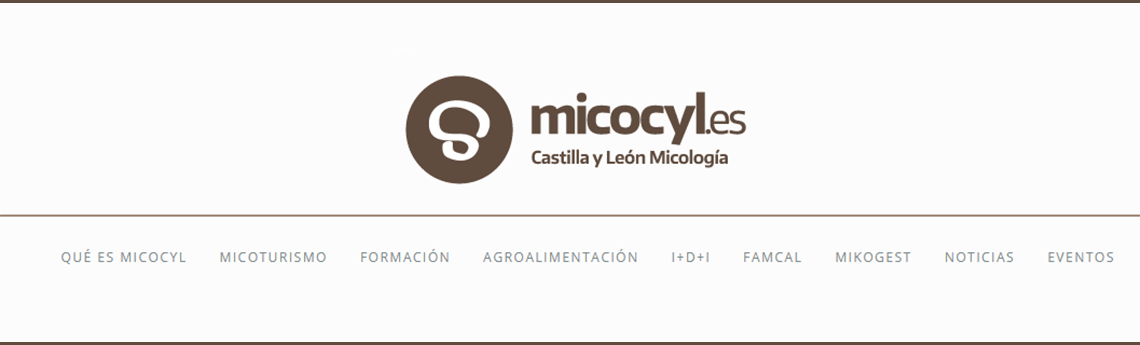 Programa Micocyl