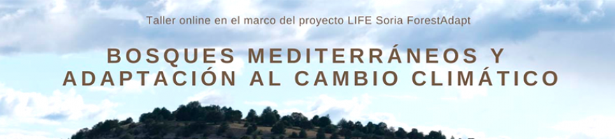 Taller online 'Bosques mediterráneos y adaptación al cambio climático'. Proyecto LIFE Soria Forest Adapt