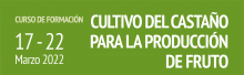 formación, cultivo castañoi, FEADER, Cesefor, Junta de Casitilla y León
